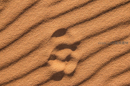 沙丘上的光影艺术，自然纹理之美
