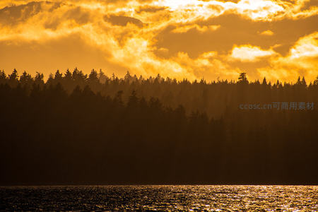 暮色森林剪影，湖面波光粼粼
