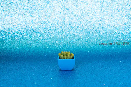 蓝色闪光背景上的迷你多肉盆栽