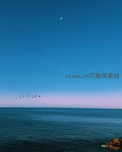 新月高悬海面飞鸟掠过