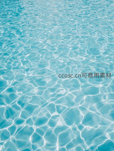 清澈水面波光粼粼，阳光洒落如碎钻