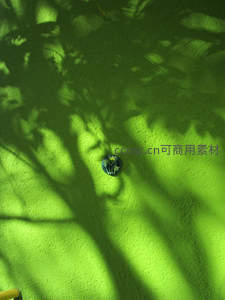 绿墙树影与徽章的静谧光影