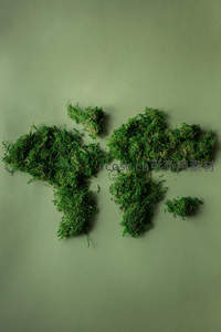 青苔拼成的世界地图艺术装置