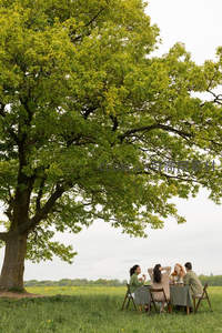 树荫下野餐的悠闲时光