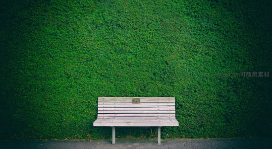 长椅静立于绿植墙前