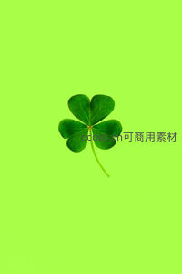 四叶草象征幸运与希望