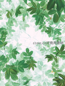 绿叶簇拥形成天然画框，清新通透