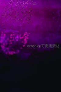 梦幻紫雾中漂浮的光斑粒子