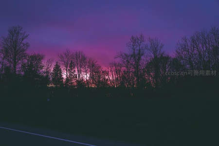 暮色森林剪影与粉紫晚霞