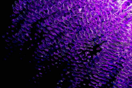 紫色细胞结构显微艺术图