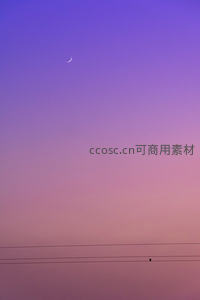 紫霞满天新月如钩，电线之上孤鸟静栖