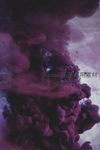 墨染深紫水中绽放