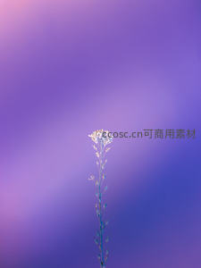 孤枝小花映紫霞