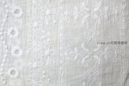 精致白色刺绣布料，古典花卉图案特写