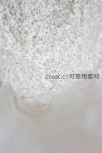 婚纱细节特写，珠饰蕾丝闪耀