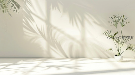 绿植剪影映墙，光影交织空间