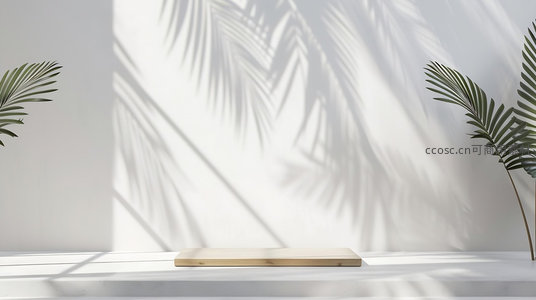 阳光透过棕榈叶投下斑驳影子