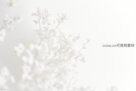 梦幻白色小花微距摄影