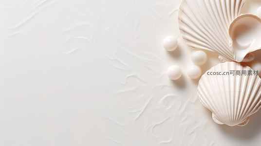 贝壳珍珠静置柔白纹理背景优雅构图