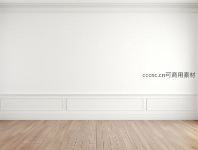 简约现代风格的空房间内景