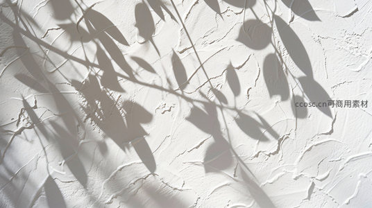 阳光透过树叶在白墙上投下斑驳影子