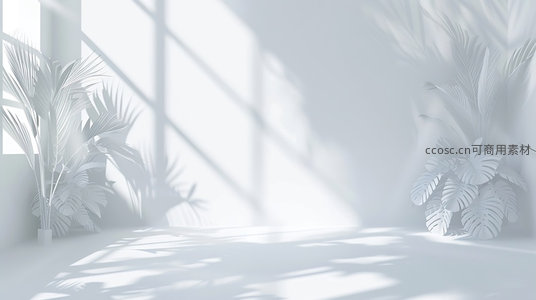 阳光洒满白色房间内绿植剪影的角落