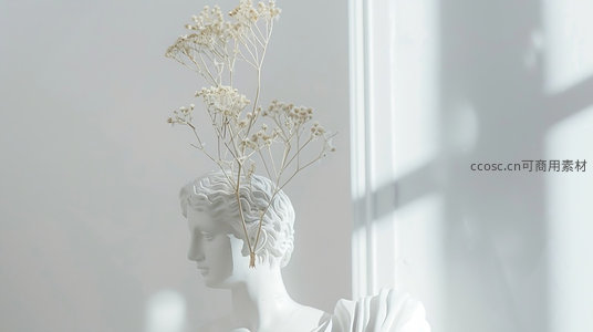 石膏雕像头像配干花，光影交错的艺术构图
