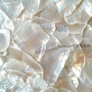 珍珠母贝片层叠虹彩纹理