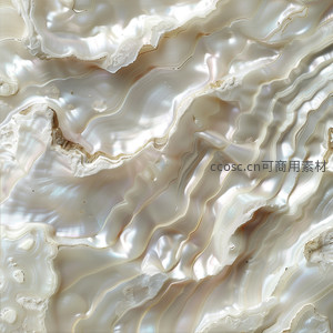 珍珠母贝的华丽纹路