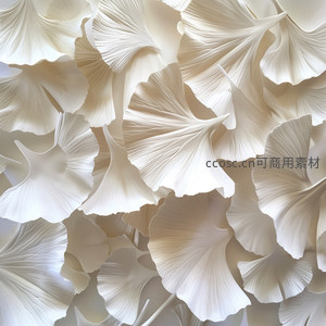 银杏叶堆叠的柔美艺术构图