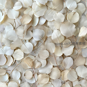 米白色桉树叶铺满画面，纹理清晰自然