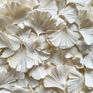 银杏叶堆叠成白色海洋，扇形纹理优雅