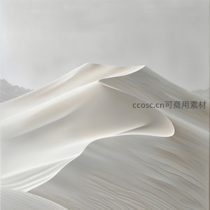 风塑沙丘的优雅曲线