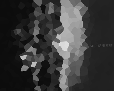 黑白极简多边形光影艺术
