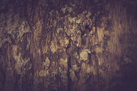 古旧木纹与斑驳苔藓的自然肌理