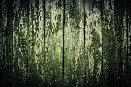 深绿苔藓与腐朽木板的融合