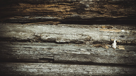 风化原木特写，粗糙表皮与裂纹尽显沧桑