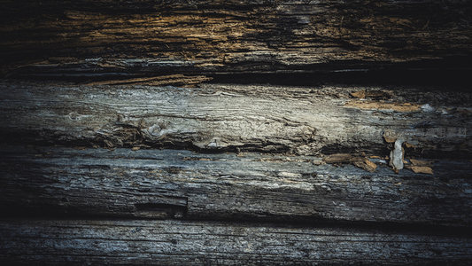 古朴木料横截面，光影勾勒沧桑肌理