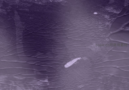深紫裂纹表面的神秘微观世界