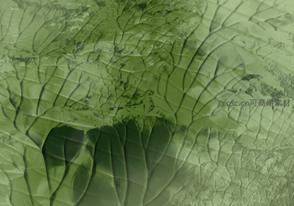 叶脉般的绿色地质纹理
