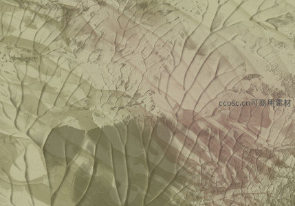 抽象纹理的流动光影艺术