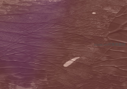 紫褐色纹理表面的微观细节