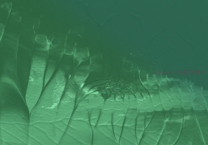 墨绿光影褶皱图