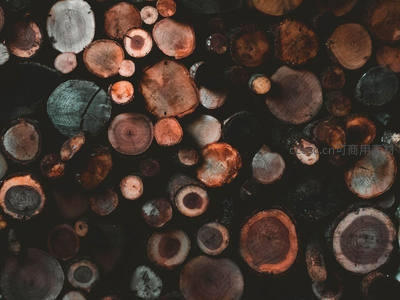 堆叠原木切面展现自然年轮纹理