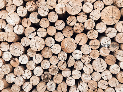 整齐码放的原木桩展现天然裂纹