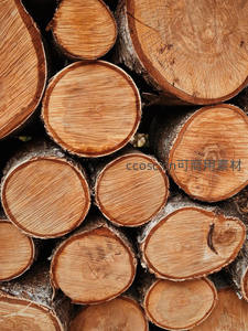 原木切面堆叠的天然肌理