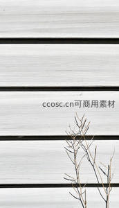 白木板上的枯枝剪影