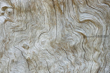 风化木纹肌理，自然雕刻的流动艺术