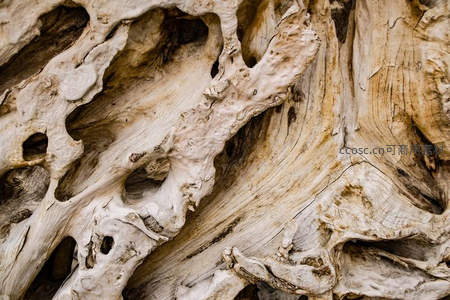风化漂流木的抽象纹理