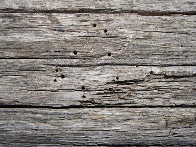 虫蛀老木板沧桑纹理